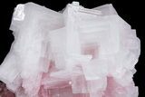 Pink Halite Crystal Plate - Trona, California #67697-2